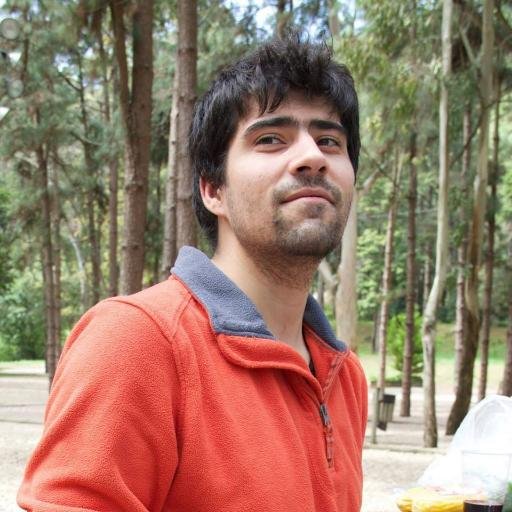 Front-end and R Shiny developer, moonlight practitioner of JavaScript dark arts.