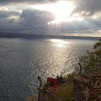 f Ulaş (@fatihulas273) 's Twitter Profile