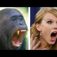 Lance Crossfire (@lancecrossfire) 's Twitter Profile