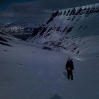 Jessica (@cohenjessiae) 's Twitter Profile Photo