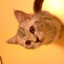 Brian Shim - @BrianShim75 - Twitter