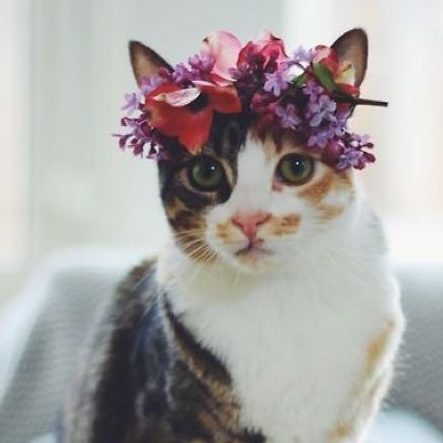 Reegan_Ward's profile picture. 