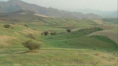 vipp123422's profile picture. تابعني اتابعك