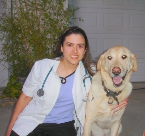 I'm a veterinarian for dogs and cats. I offer vet housecalls in Arizona & CA including exams, deworming, titer tests, bloodwork, acupuncture, and Chinese herbs.