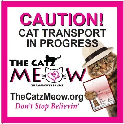 TheCatzMeowOrg's profile picture. Non Profit Cat Transport Organization #TheCatzMeow #CatTransport #ForeverHome #SaveThemAll