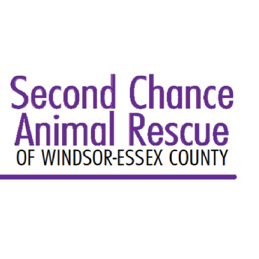 Second Chance Animal Rescue (SCAR) is a volunteer based, not-for-profit animal rescue organization located in Windsor/Essex County, Ontario.
