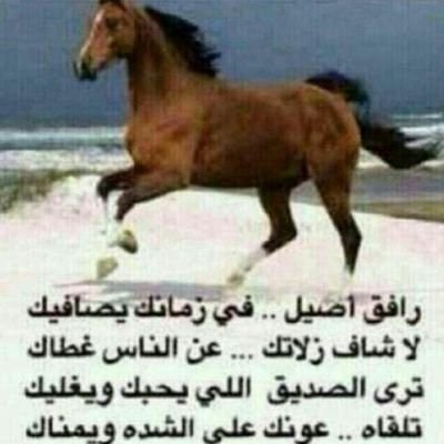 محب للخير واسال الله العلي العظيم لي ولكم التوفيق اخوكم محمد العبيدي