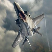 DutchFlyBird (@dutchflybird) 's Twitter Profile