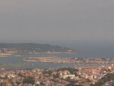 Educalvo55's profile picture. 