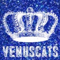CA_VenusCats(@CA_VenusCats) 's Twitter Profile Photo