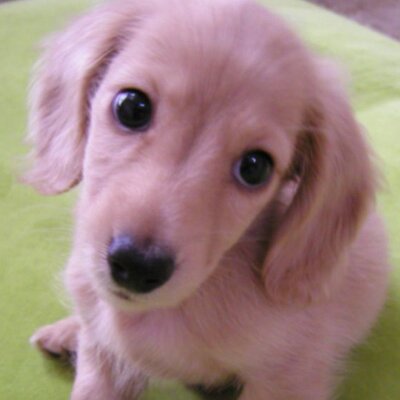 Sue 水煮にしておいた筍の残り半分を 今井真実 Imaimamigohan さんレシピのタケノコのバジルマリネに 味見の時点でとんでもなく美味しい しゃくしゃく噛むとオイル溢れる 保存食にもなる タケノコのバジルマリネ 旬とスパイス エスビー食品 Sue 水煮にしておいた筍の残り半分を 今井真実 Imaimamigohan さんレシピのタケノコのバジルマリネに 味見の時点でとんでもなく美味しい しゃくしゃく噛むとオイル溢れる 保存食にもなる タケノコのバジルマリネ 旬とスパイス エスビー食品