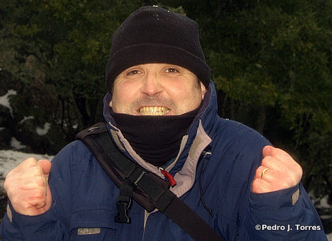 perepep's profile picture. 