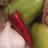 namacello's profile image