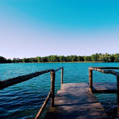 rebekka_konrad's profile picture. 