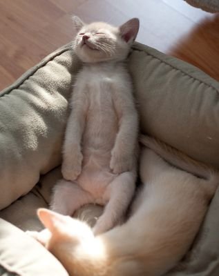 moises_1965's profile picture. 