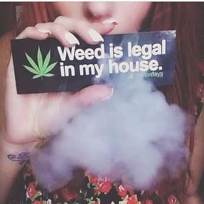 Sitio de entretenimiento para CannabicoActivos.
Sigueme y te sigo!