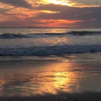 CaliNative 🇺🇸🇺🇸 🌈🌊 (@singmolly4) 's Twitter Profile