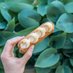 End Of The Éclair (@endoftheeclair) Twitter profile photo End Of The Éclair (@endoftheeclair) Twitter profile photo