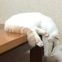 monPUti (@monputi2) 's Twitter Profile Photo monPUti (@monputi2) 's Twitter Profile Photo