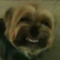 cody (@lemasterbedroom) Twitter profile photo