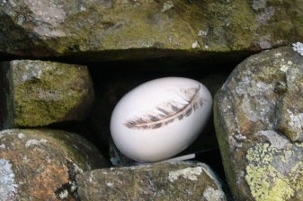 Get updates on the Where is Peter Rabbit Treasure Trail on Wednesday 12 April
