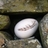 peterrabbiteggs's profile image