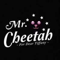 Mr.Cheetah(@cheetah_mr) 's Twitter Profile Photo