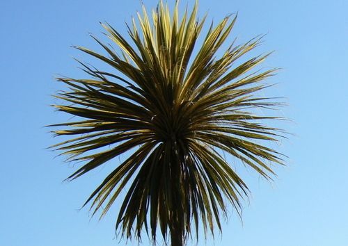 Blog about life in west Cornwall by writer & editor Ismay Atkins. Cornish food, drink, arts, shops, pubs, design & a little of whatever takes my fancy.
