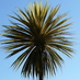 pasties & cream blog (@pastiesandcream) Twitter profile photo