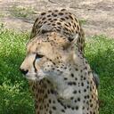 Tim Workman - @javelin195 - Twitter