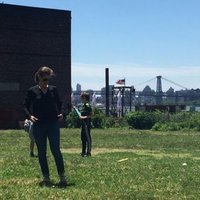 Sarah Hoiland (@sarahhoiland) 's Twitter Profile