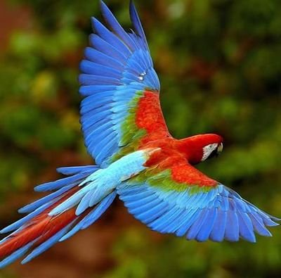 hHRCHnPOcoce2GJ's profile picture. 