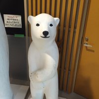 ひきた (@aki27fall) Twitter profile photo