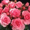جمال الروح (@059_5776) Twitter