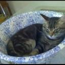 Jim Corbitt - @Tubeaday - Twitter