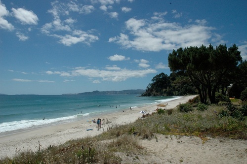 Beautiful Whangapoua beach is located on the eastern side of the Coromandel Peninsula, NZ