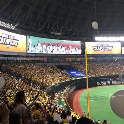 mens75246893's profile picture. (^_^)