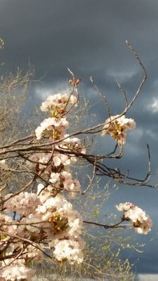 MartaBotran's profile picture. 