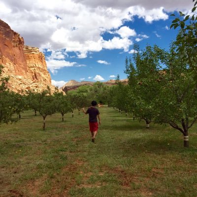 printemps50's profile picture. ゴルフ