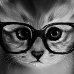 Love animals