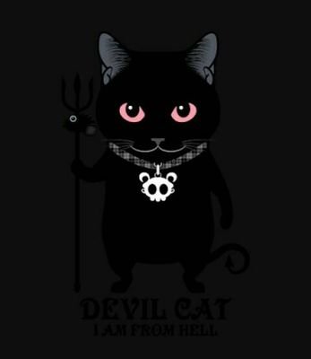 夜行性なんで真夜中の活動が多いですが、猫好きな方々と仲間になりたくTwitter始めてみました。
どーぞ、よろしくお願いします。