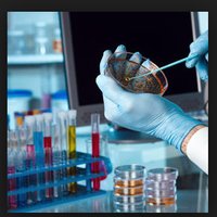 R (@lucy3370) 's Twitter Profile Photo