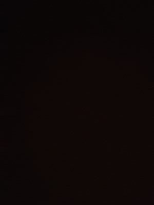 shellphishes's profile picture. 