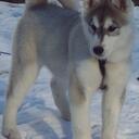 Amanda Puente - @Amanda_P513 - Twitter