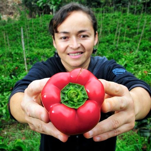 SheGrowsATL's profile picture. She Grows is a female directed short video series about women growing real food and making real change.