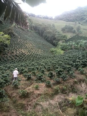 El campo, la agricultura, el café, el agua, las finanzas y la investigación