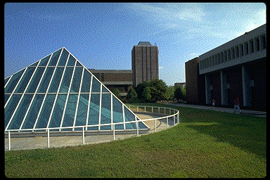 UMSL Libraries Profile