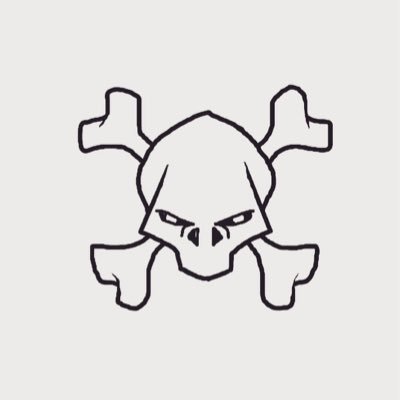 SkullAndDrones Profile Picture