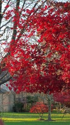 naturegirl1968's profile picture. focused on zero waste life and sustainable living