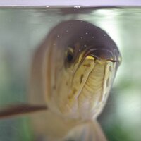 森脇清隆 K_Moriwaki (@mk_pai) Twitter profile photo